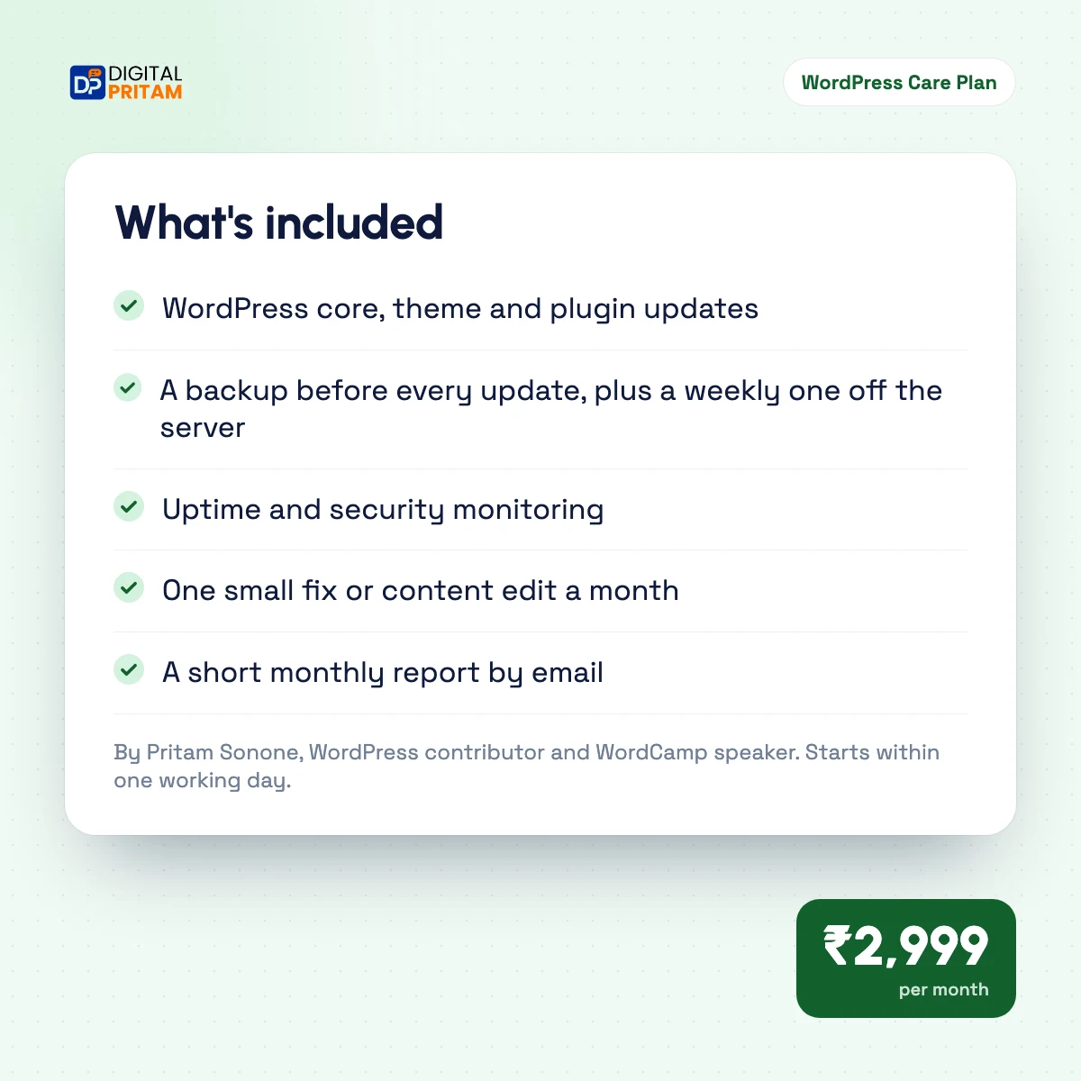 What is included in the WordPress Care Plan
